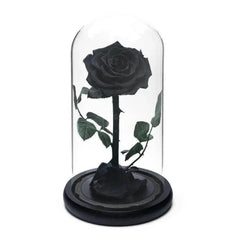 Trandafir Criogenat Negru Premium În Cupolă De Sticlă 8 Cm Cadou Unic Elegant - Trandafir - Criogenat.ro