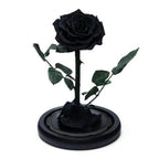 Trandafir Criogenat Negru Premium În Cupolă De Sticlă 8 Cm Cadou Unic Elegant - Trandafir - Criogenat.ro
