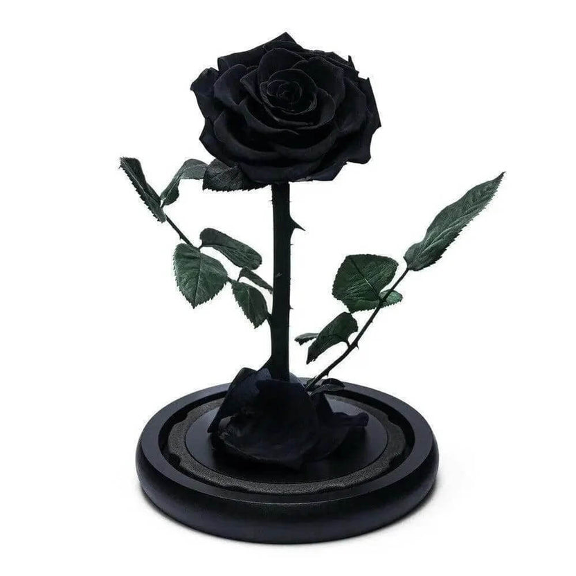 Trandafir Criogenat Negru Premium În Cupolă De Sticlă 8 Cm Cadou Unic Elegant - Trandafir - Criogenat.ro