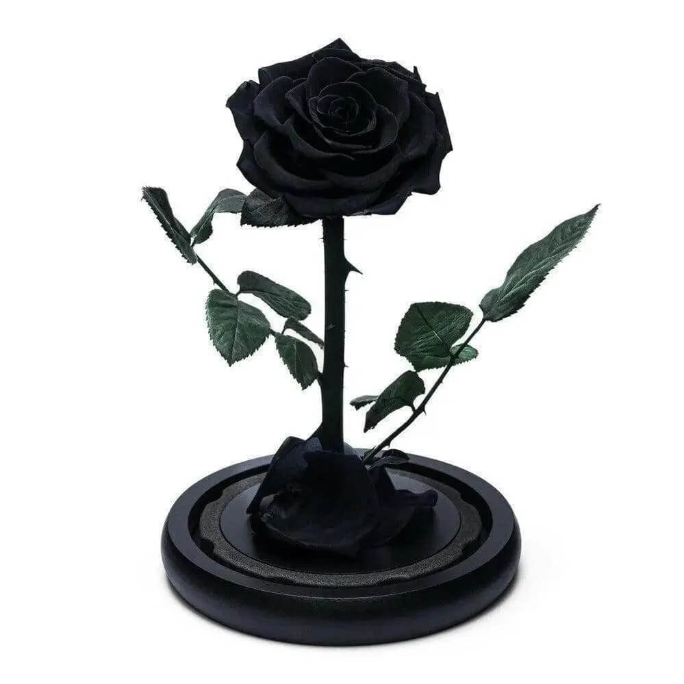 Trandafir Criogenat Negru Premium În Cupolă De Sticlă 8 Cm Cadou Unic Elegant - Trandafir - Criogenat.ro
