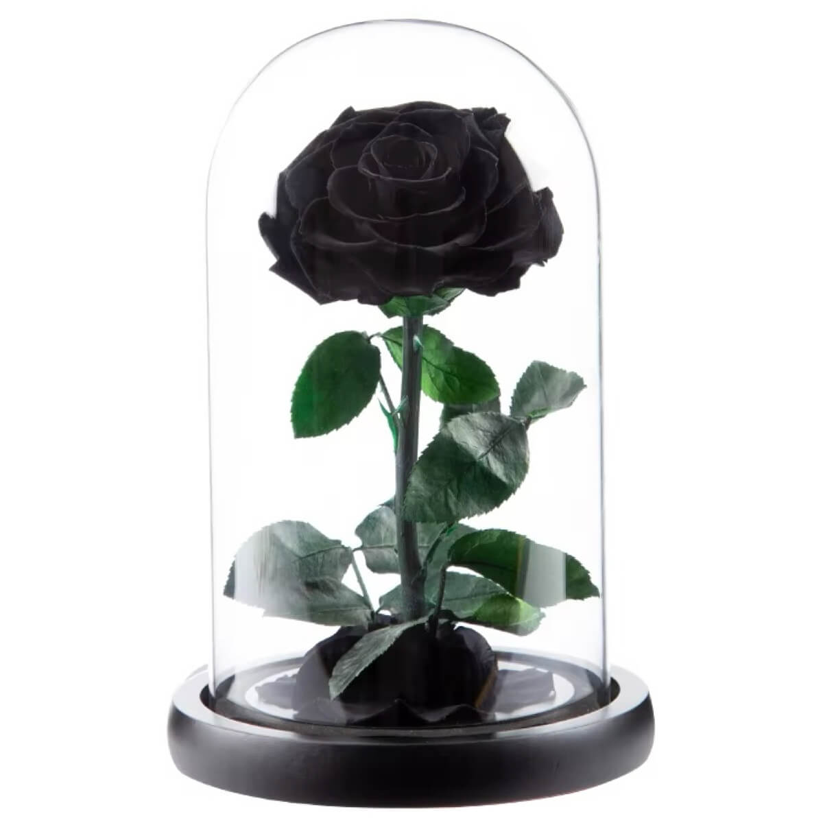 Trandafir Criogenat negru Premium in cupola de sticla, cu mesaj scris - Trandafir - Criogenat.ro