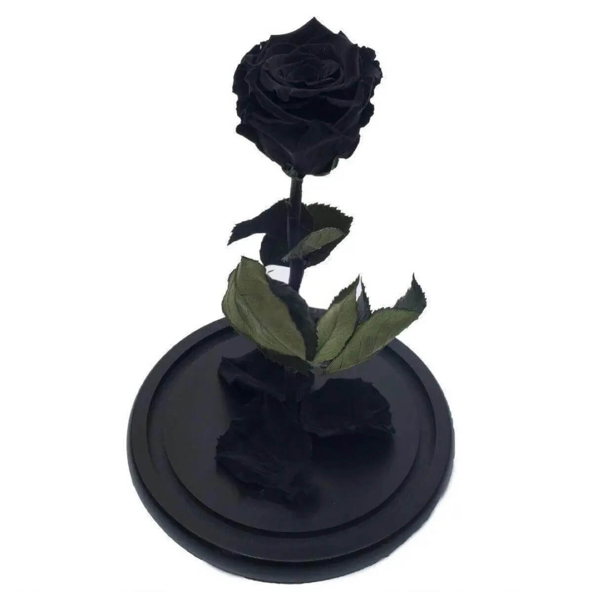 Trandafir Criogenat Negru XL In Cupola De Sticla Cadou Pentru Femei 6,5cm - Trandafir - Criogenat.ro