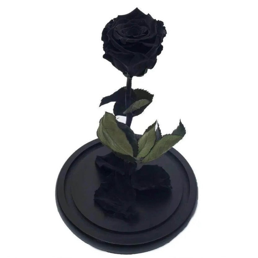 Trandafir Criogenat Negru XL In Cupola De Sticla Cadou Pentru Femei 6,5cm - Trandafir - Criogenat.ro