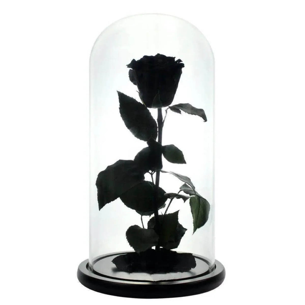 Trandafir Criogenat Negru XL In Cupola De Sticla Cadou Pentru Femei 6,5cm - Trandafir - Criogenat.ro