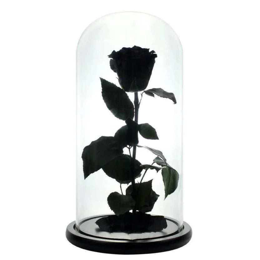 Trandafir Criogenat Negru XL In Cupola De Sticla Cadou Pentru Femei 6,5cm - Trandafir - Criogenat.ro