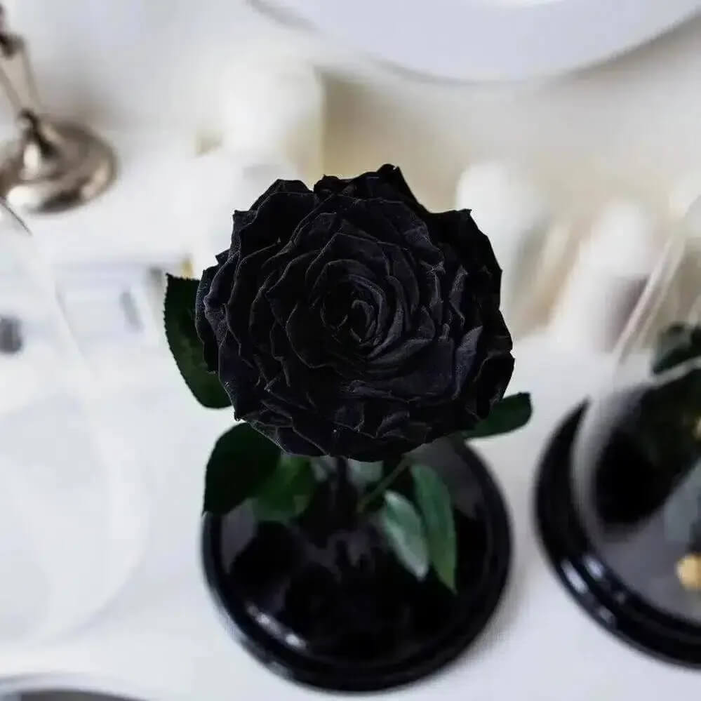 Trandafir Criogenat Negru XXL În Cupolă De Sticlă Cadou Unic Pentru Orice Ocazie - Trandafir - Criogenat.ro