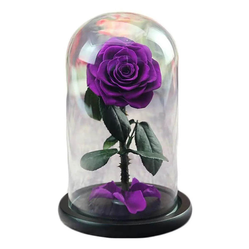 Trandafir Criogenat Nemuritor Bonita Mov În Cupolă de Sticlă 9,5 cm 15x25 cm - Trandafir - Criogenat.ro