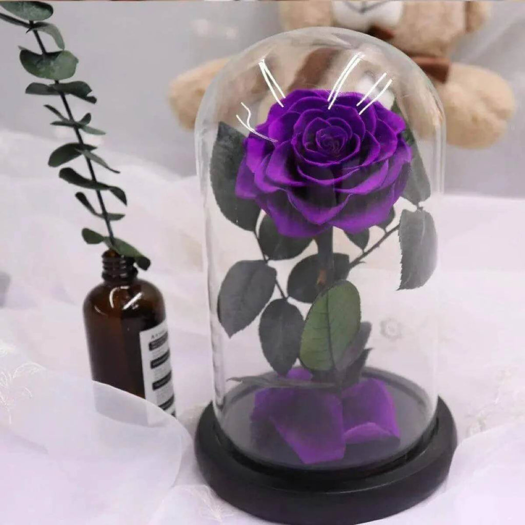 Trandafir Criogenat Nemuritor Bonita Mov În Cupolă de Sticlă 9,5 cm 15x25 cm - Trandafir - Criogenat.ro