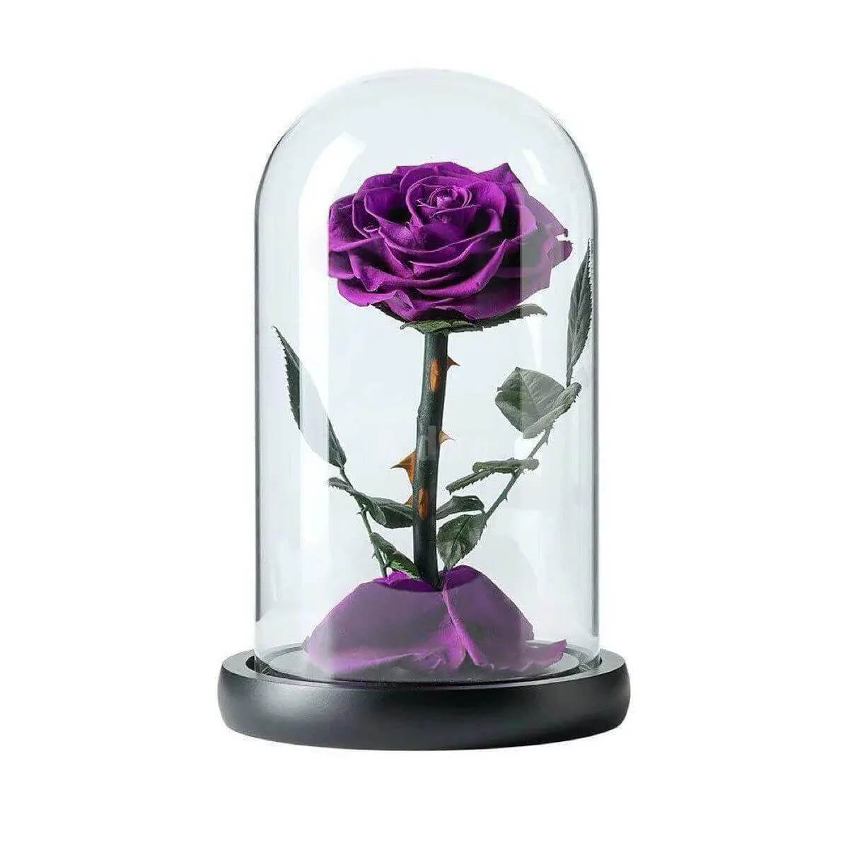 Trandafir Criogenat Nemuritor Bonita Mov În Cupolă de Sticlă 9,5 cm 15x25 cm - Trandafir - Criogenat.ro