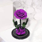 Trandafir Criogenat Nemuritor Bonita Purpuriu Cupolă 12x25cm Mesaj Personalizat - Trandafir - Criogenat.ro