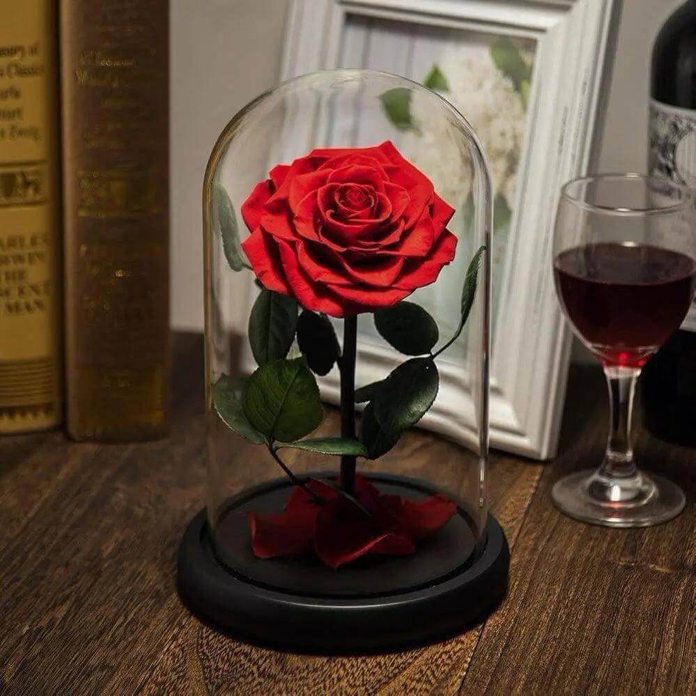 Trandafir Criogenat Nemuritor Bonita Roșu În Cupolă Elegantă 15x25cm Cadou - Trandafir - Criogenat.ro