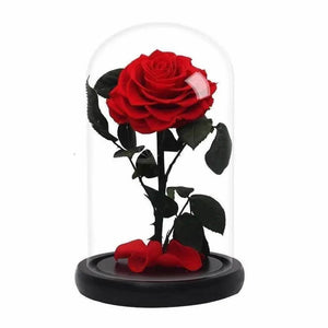 Trandafir Criogenat Nemuritor Bonita Roșu În Cupolă Elegantă 15x25cm Cadou - Trandafir - Criogenat.ro