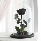Trandafir Criogenat Nemuritor Negru XL În Cupolă Elegantă 10x20 Cm Cadou Ideal - Trandafir - Criogenat.ro