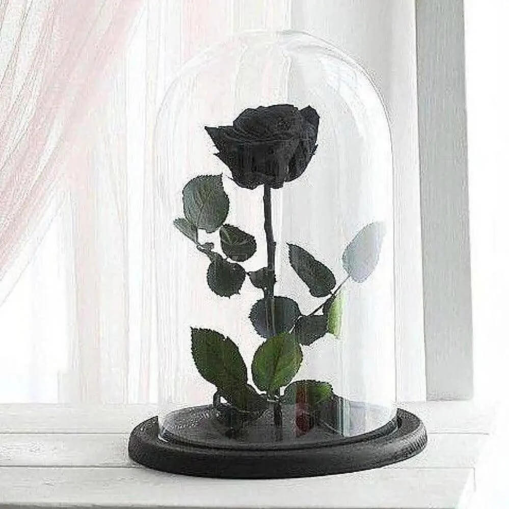 Trandafir Criogenat Nemuritor Negru XL În Cupolă Elegantă 10x20 Cm Cadou Ideal - Trandafir - Criogenat.ro
