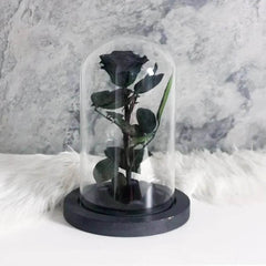 Trandafir Criogenat Nemuritor Negru XL În Cupolă Elegantă 10x20 Cm Cadou Ideal - Trandafir - Criogenat.ro