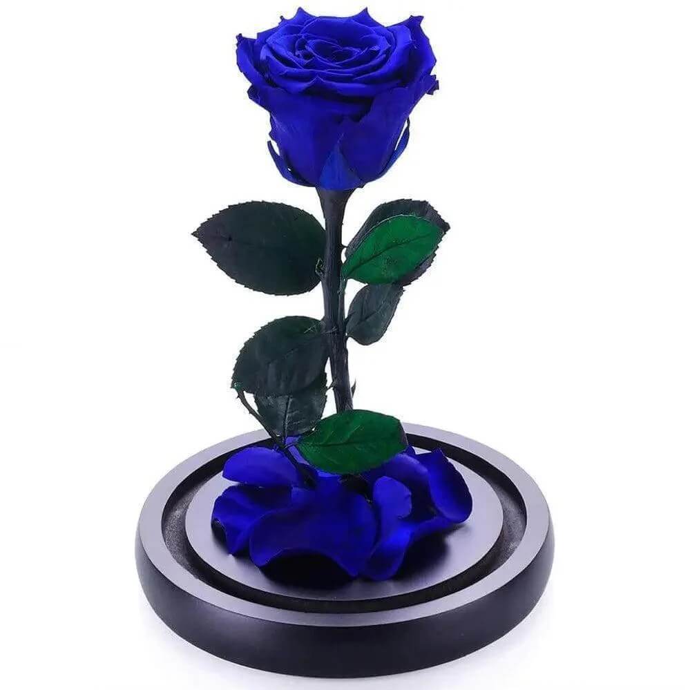 Trandafir Criogenat Nemuritor XL Albastru În Cupolă Elegantă 10x20 Cadou Perfect - Trandafir - Criogenat.ro