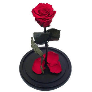 Trandafir Criogenat Nemuritor XL Roșu În Cupolă De Sticlă Diametru 6,5cm 12x25cm - Trandafir - Criogenat.ro