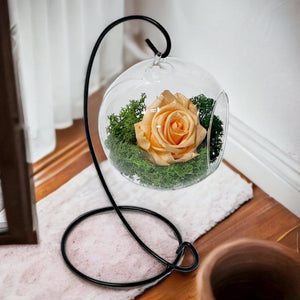 Trandafir Criogenat Piersică XL În Glob De Sticlă Suspendat Cu Suport Negru 10 cm - Trandafir - Criogenat.ro
