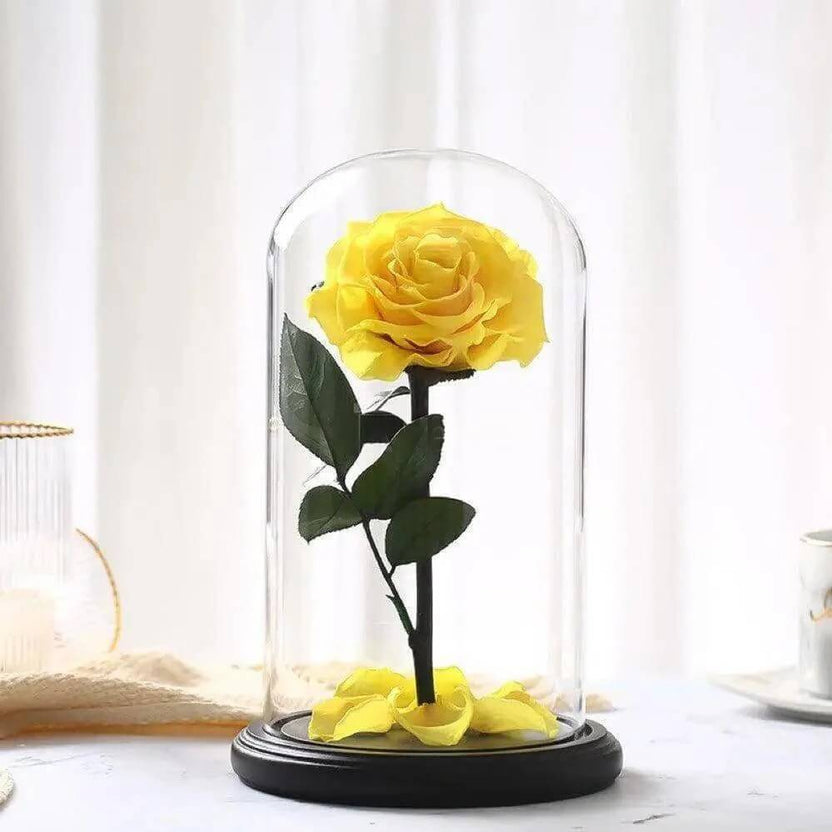 Trandafir Criogenat Premium Galben În Cupolă Elegantă 8 Cm Diametru 12x25 Cm - Trandafir - Criogenat.ro