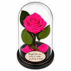 Trandafir criogenat Premium roz ciclam în cupolă de sticlă 12 × 25 cm - Trandafir-Criogenat.ro