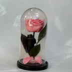 Trandafir criogenat premium roz în cupolă de sticlă - Trandafir-Criogenat.ro