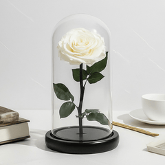 Trandafir Criogenat Premium Sampanie Sub Cupolă De Sticlă 12x25 Cm Decor Elegant - Trandafir - Criogenat.ro