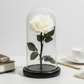 Trandafir Criogenat Premium Sampanie Sub Cupolă De Sticlă 12x25 Cm Decor Elegant - Trandafir - Criogenat.ro