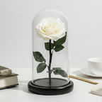 Trandafir Criogenat Premium Sampanie Sub Cupolă De Sticlă 12x25 Cm Decor Elegant - Trandafir - Criogenat.ro