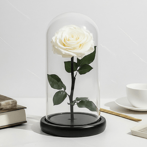 Trandafir Criogenat Premium Sampanie Sub Cupolă De Sticlă 12x25 Cm Decor Elegant - Trandafir - Criogenat.ro