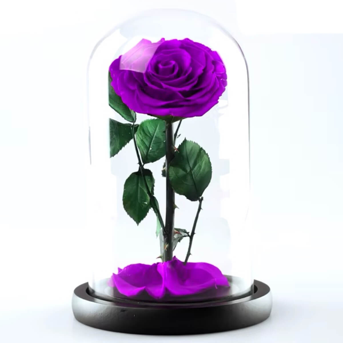 Trandafir Criogenat purpuriu deschis in cupola de sticla, cu mesaj scris - Trandafir - Criogenat.ro