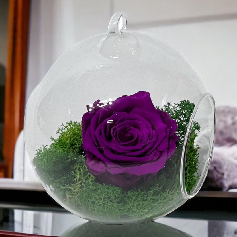 Trandafir Criogenat Purpuriu XL in Glob de Sticla Cadou Elegant Livrare 24 Ore - Trandafir - Criogenat.ro