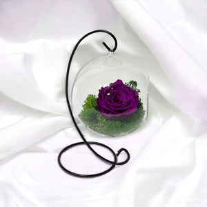 Trandafir Criogenat Purpuriu XL Nemuritor In Glob Sticla Suspendat Frumusete - Trandafir - Criogenat.ro