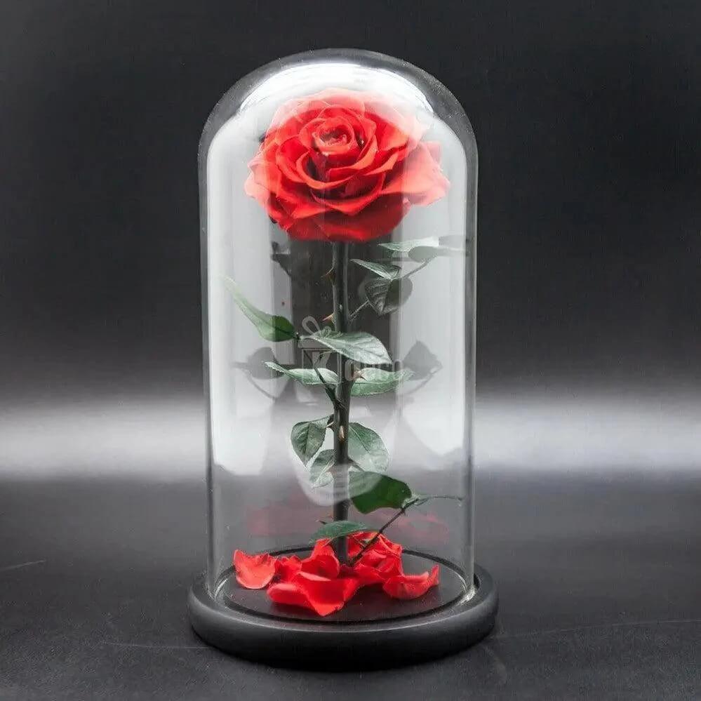 Trandafir Criogenat Roșu Bella În Cupolă De Sticlă Cadou Pentru Persoana Iubită - Trandafir - Criogenat.ro