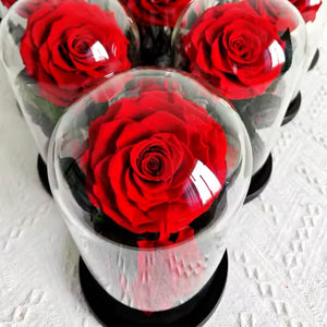 Trandafir Criogenat Roșu Bonita 9,5 cm În Cupolă de Sticlă Mesaj Personalizat - Trandafir - Criogenat.ro