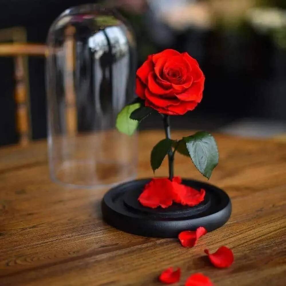 Trandafir Criogenat Roșu Bonita În Cupolă De Sticlă 9,5 Cm Cadou Special 15x25 Cm - Trandafir - Criogenat.ro