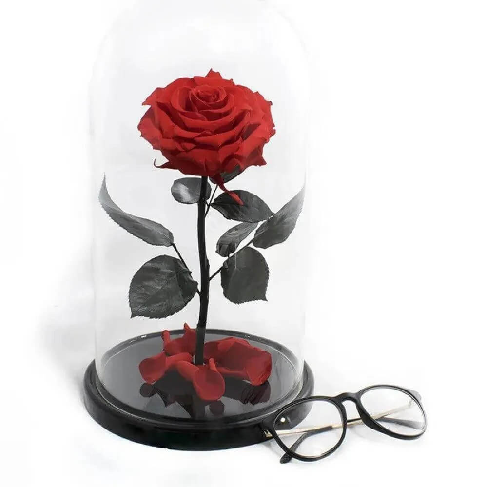 Trandafir Criogenat Roșu Bonita În Cupolă De Sticlă 9,5 Cm Cadou Special 15x25 Cm - Trandafir - Criogenat.ro