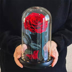 Trandafir Criogenat Roșu Bonita Sub Cupolă De Sticlă Cu Mesaj Personalizat - Trandafir - Criogenat.ro