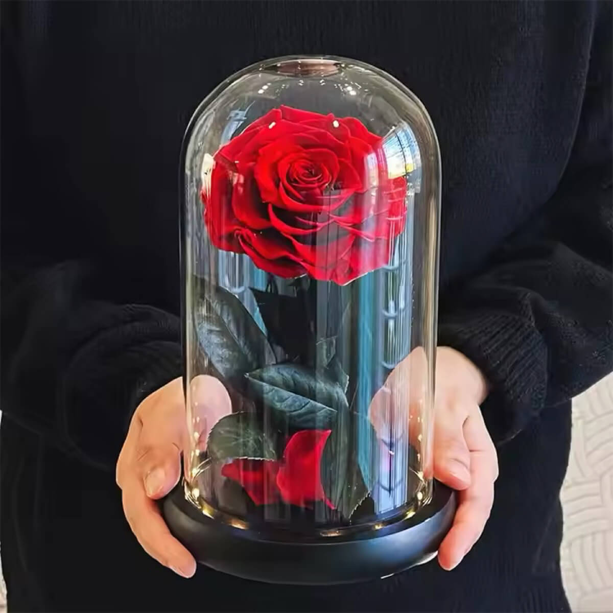 Trandafir Criogenat Roșu Bonita Sub Cupolă De Sticlă Cu Mesaj Personalizat - Trandafir - Criogenat.ro