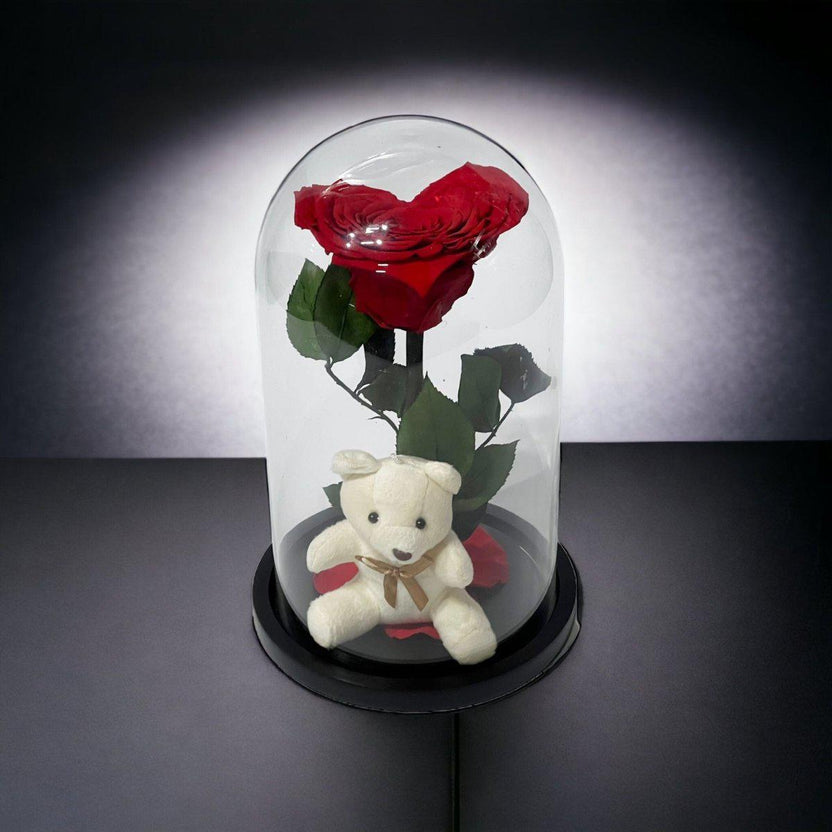 Trandafir Criogenat Roșu cu Ursuleț și Cupolă de Sticlă Cadou Romantic - Trandafir - Criogenat.ro