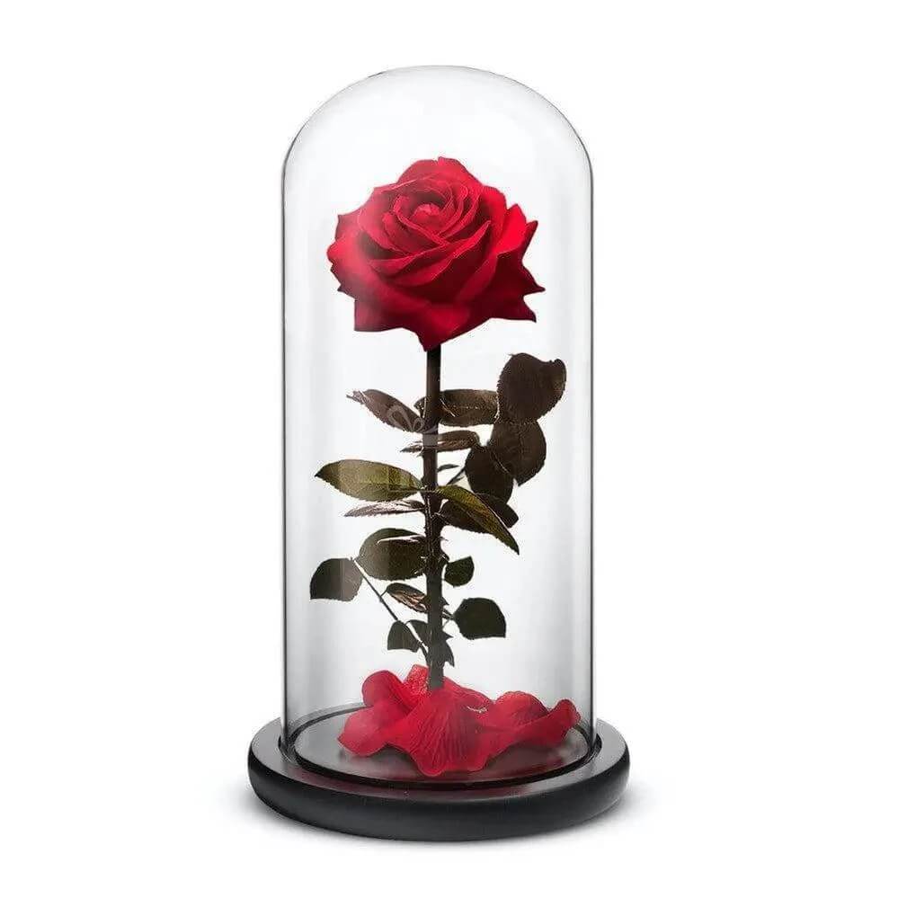 Trandafir Criogenat Roșu Elegance în Cupolă de Sticlă 12x25 cm Cadou Ideal - Trandafir - Criogenat.ro