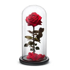 Trandafir Criogenat Roșu Elegance în Cupolă de Sticlă 12x25 cm Cadou Ideal - Trandafir - Criogenat.ro
