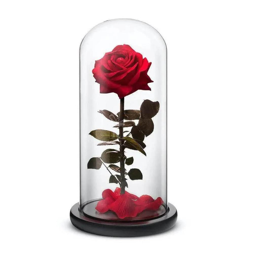 Trandafir Criogenat Roșu Elegance în Cupolă de Sticlă 12x25 cm Cadou Ideal - Trandafir - Criogenat.ro