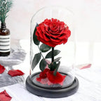 Trandafir Criogenat Roșu În Cupolă Elegantă 15x25cm Cadou Ideal Pentru Iubitei - Trandafir - Criogenat.ro