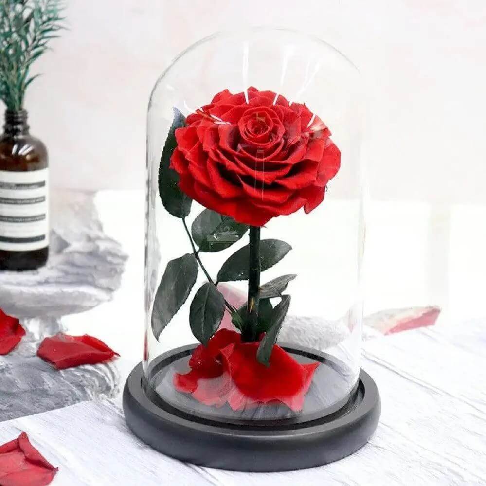 Trandafir Criogenat Roșu În Cupolă Elegantă 15x25cm Cadou Ideal Pentru Iubitei - Trandafir - Criogenat.ro