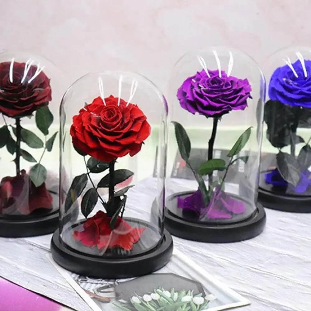 Trandafir Criogenat Roșu În Cupolă Elegantă 15x25cm Cadou Ideal Pentru Iubitei - Trandafir - Criogenat.ro