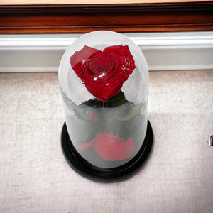 Trandafir Criogenat Roșu În Formă De Inimă Cu Cupolă De Sticlă Elegantă - Trandafir - Criogenat.ro