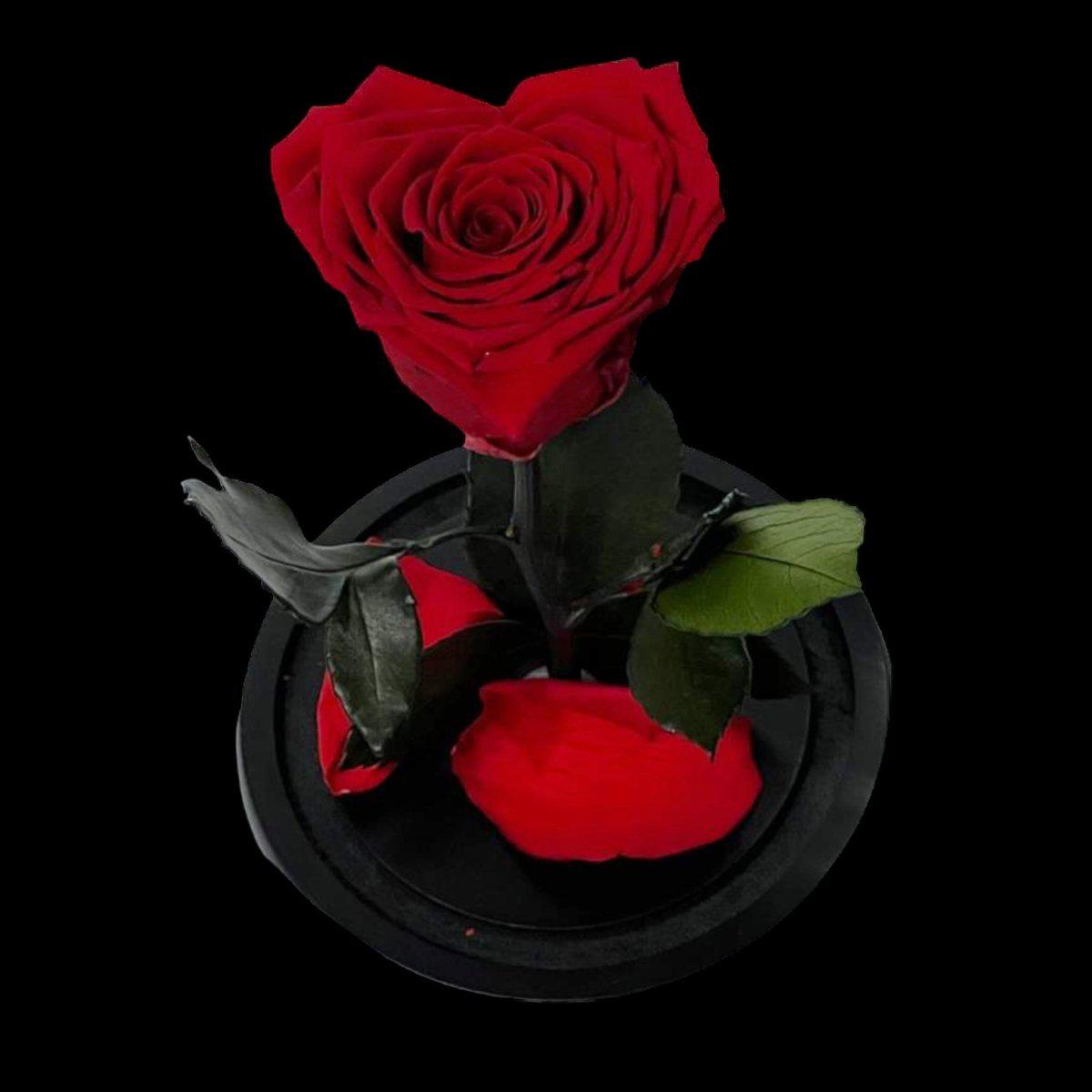 Trandafir Criogenat Roșu În Formă De Inimă Cu Cupolă De Sticlă Elegantă - Trandafir - Criogenat.ro