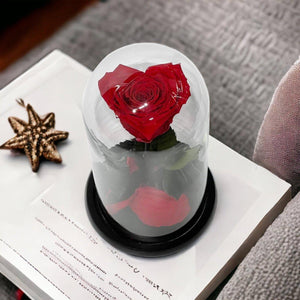Trandafir Criogenat Roșu În Formă De Inimă Cu Cupolă De Sticlă Elegantă - Trandafir - Criogenat.ro