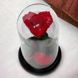 Trandafir Criogenat Roșu În Formă De Inimă Cu Cupolă De Sticlă Elegantă - Trandafir - Criogenat.ro