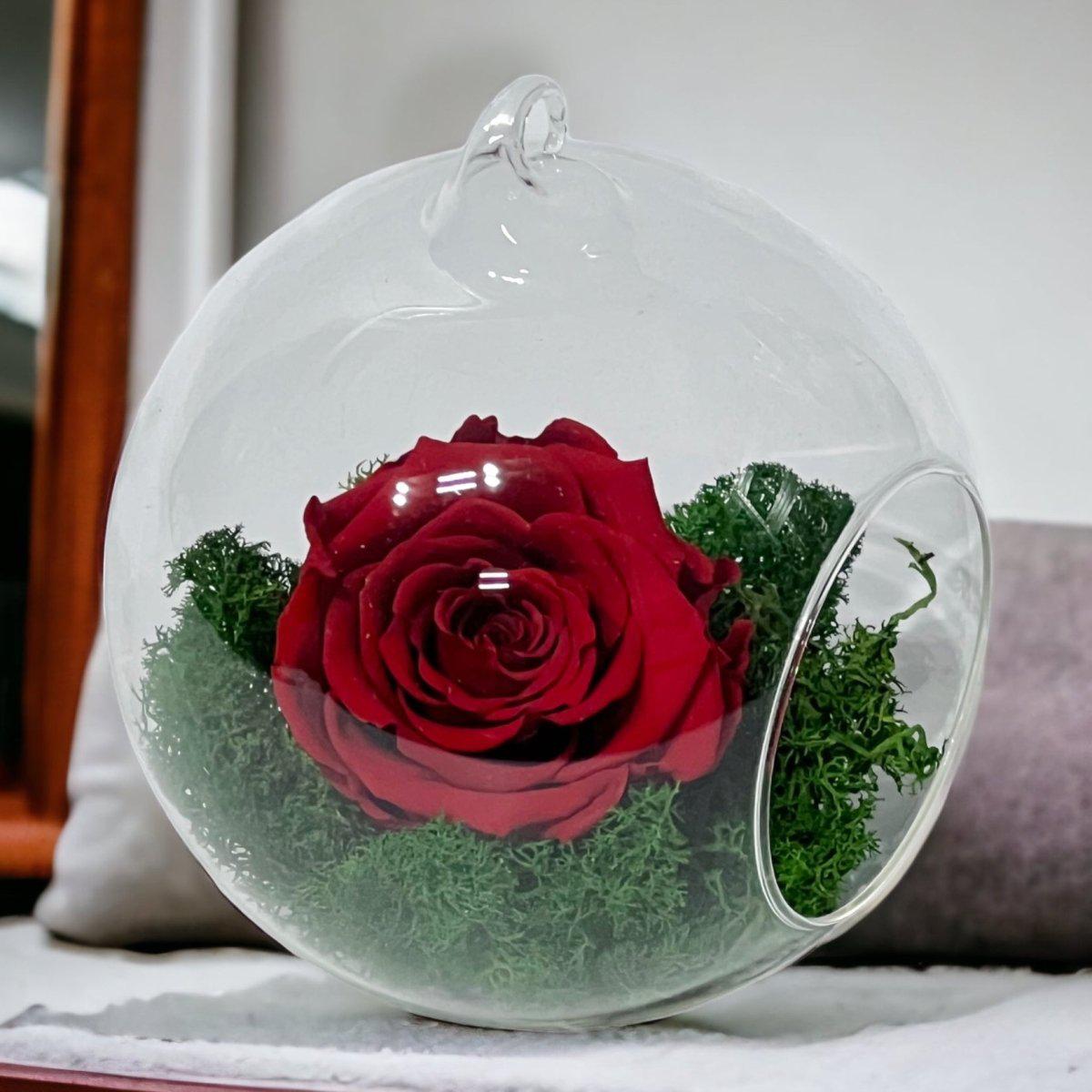 Trandafir Criogenat Roșu XL În Glob De Sticlă Elegant Livrare Rapidă În 24 Ore - Trandafir - Criogenat.ro